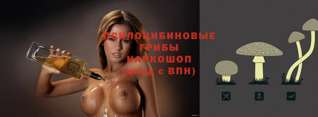 метадон Армянск