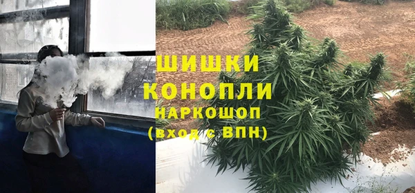 винт Балахна