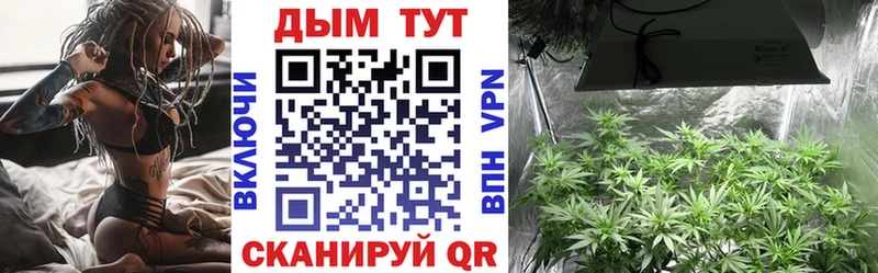 Марихуана сатива  Видное 
